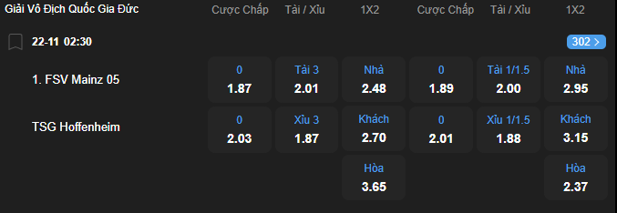 nhan-dinh-soi-keo-mainz-05-vs-hoffenheim-luc-02h30-ngay-22-11-2025-2